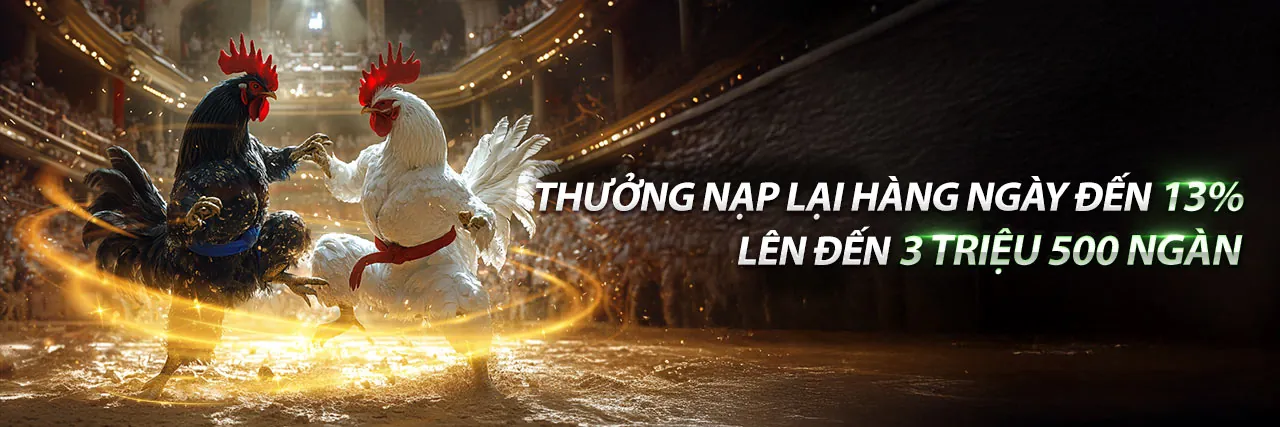Đá Gà Trực Tiếp kịch tính tại sumclup trang chủ chính thức