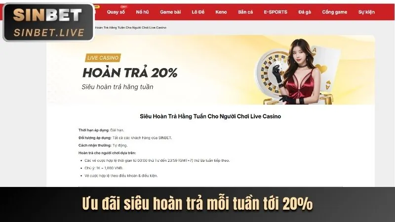 Hoàn Trả Thể Thao Cao Cấp